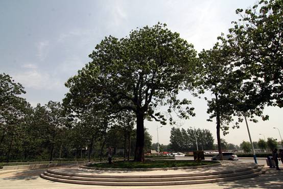 ʮ�����Ծ�������ͩ��800.533